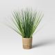 Small Potted Grass in Basket Plant- Threshold™ - 17 in. high